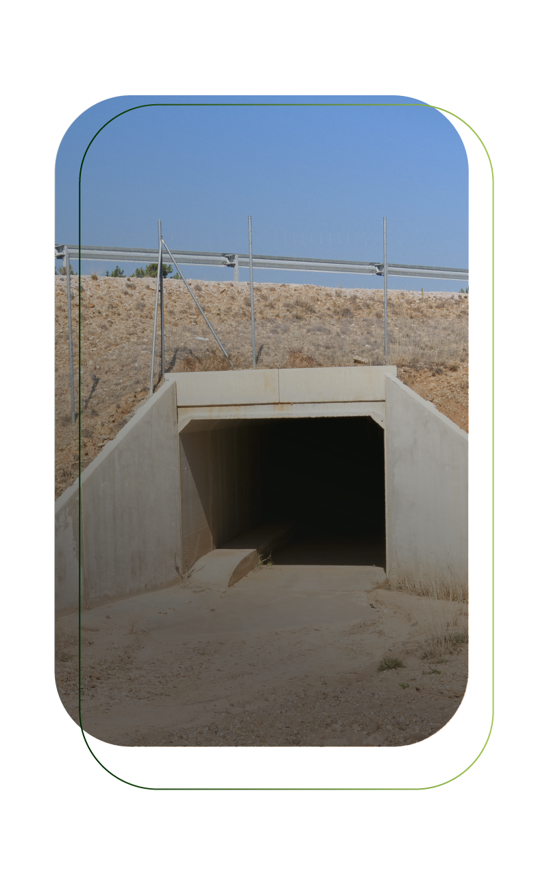 consultoria de proyectos ambientales en mexico grupo hatso-05