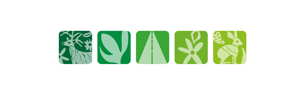 GRUPO HATSO – SERVICIOS DE IMPACTO Y GESTIÓN AMBIENTAL EN MÉXICO